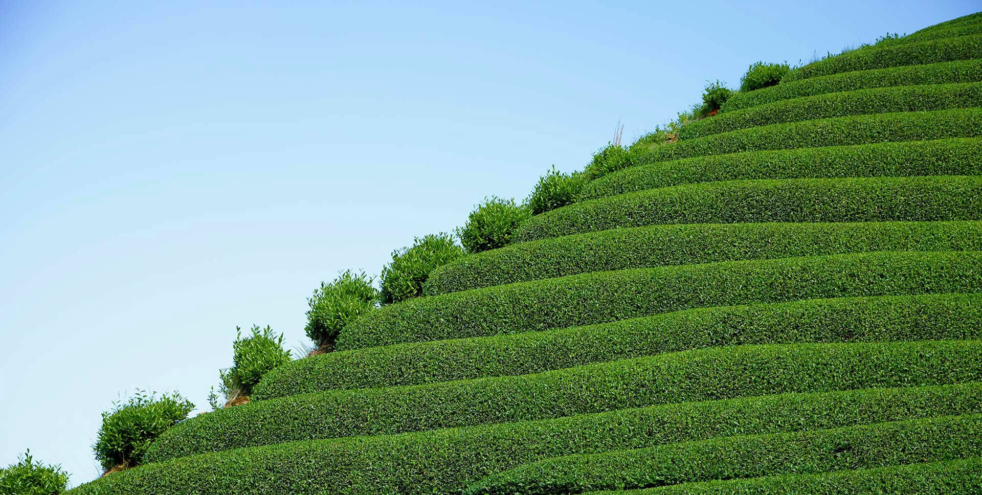 The Five Minute Timed Meditation